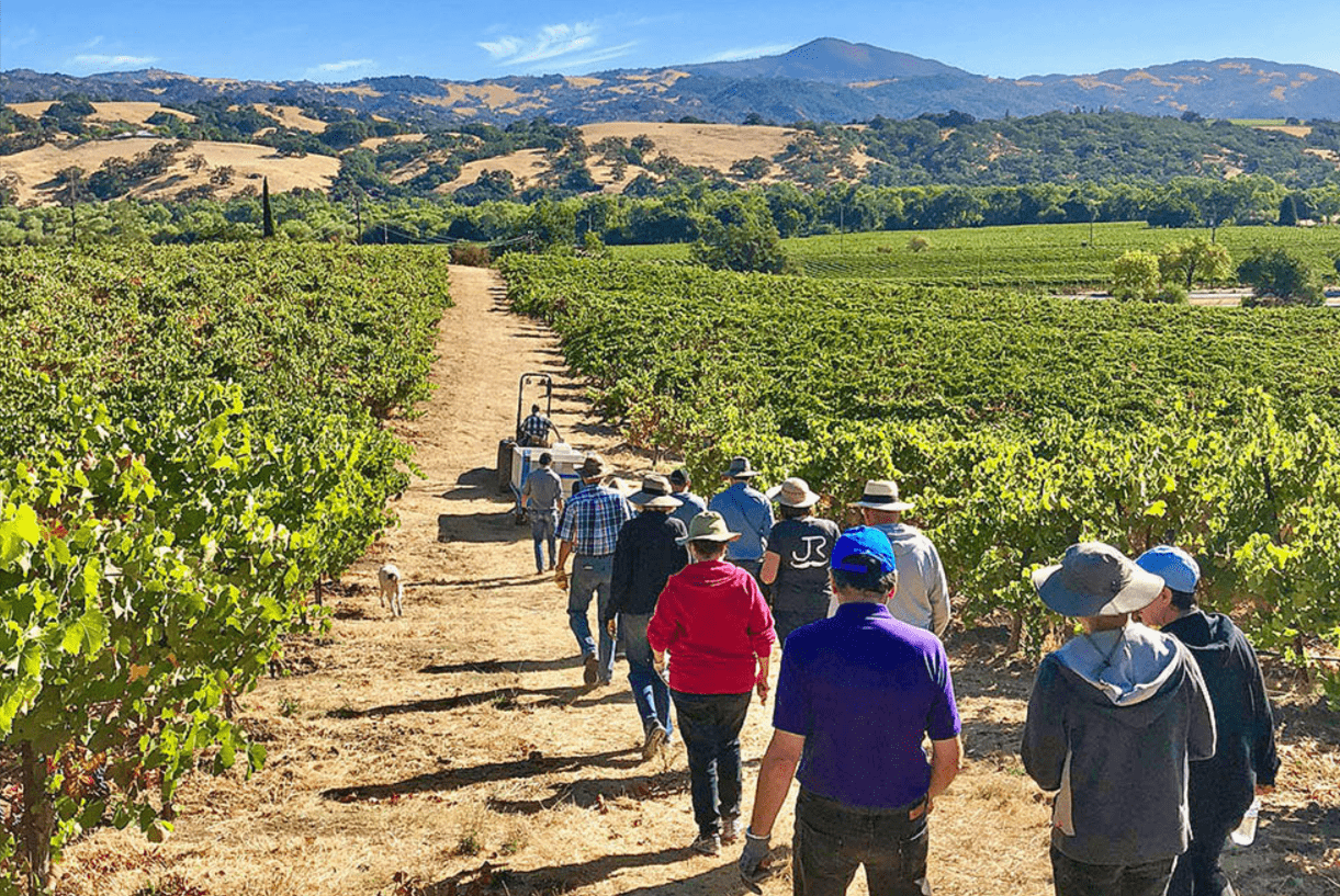 California Wine Tasting Volume 1.5 Ounce : What You Need to Know